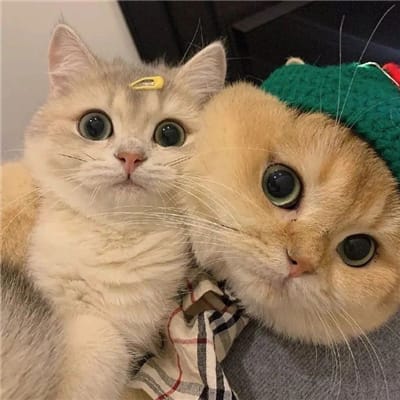 นุ่น นุ่มนิ่ม avatar